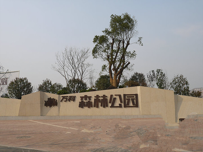電表用於合肥萬（wàn）科森林公園